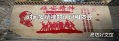 对延安精神的认识和体会