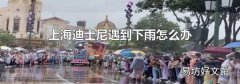 上海迪士尼遇到下雨怎么办