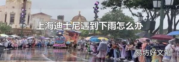 上海迪士尼遇到下雨怎么办