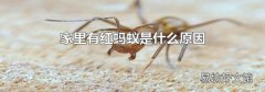 家里有红蚂蚁是什么原因