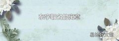 东字取名的寓意