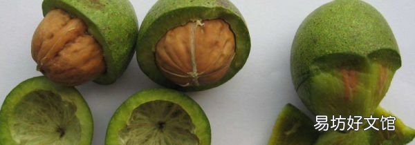 核桃果肉能吃吗
