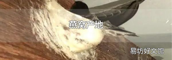 燕窝产地