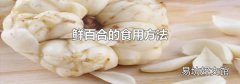 鲜百合的食用方法