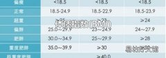 BMI 体质指数