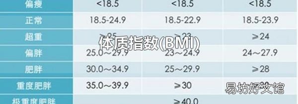 BMI 体质指数