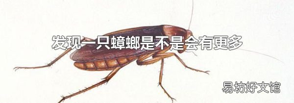 發(fā)現(xiàn)一只蟑螂是不是會有更多