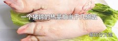 一个猪蹄的热量相当于几碗饭