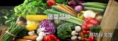 蔬菜品种