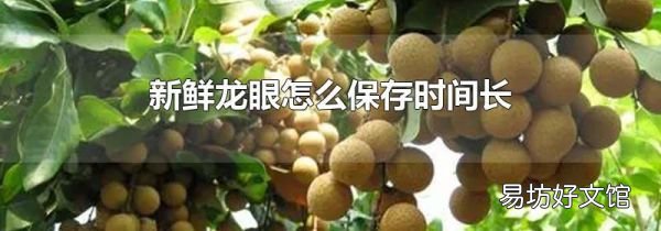 新鲜龙眼怎么保存时间长