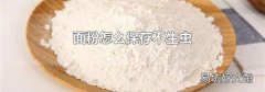 面粉怎么保存不生虫