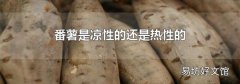 番薯是凉性的还是热性的