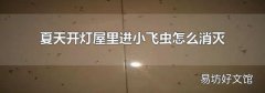 夏天开灯屋里进小飞虫怎么消灭