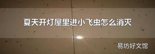 夏天开灯屋里进小飞虫怎么消灭