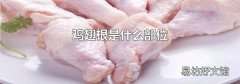 鸡翅根是什么部位
