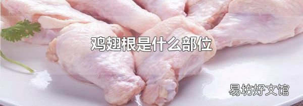 鸡翅根是什么部位