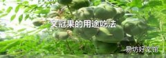 文冠果的用途吃法