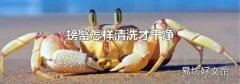 螃蟹怎样清洗才干净