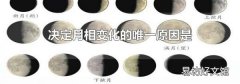 决定月相变化的唯一原因是