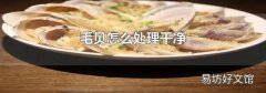 毛贝怎么处理干净