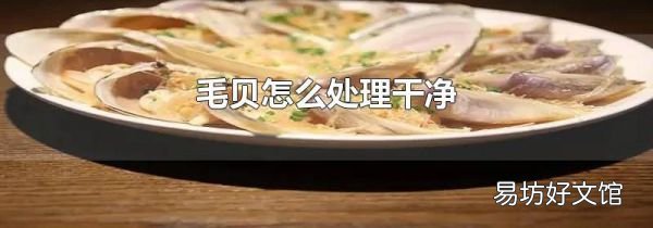 毛贝怎么处理干净