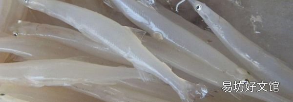 为什么鲜银鱼要焯水