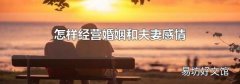 怎样经营婚姻和夫妻感情