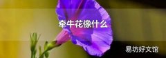 牵牛花像什么