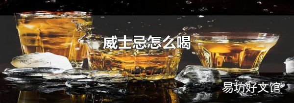 威士忌怎么喝