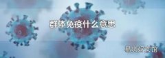 群体免疫什么意思