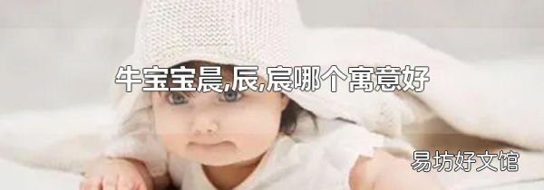 牛宝宝晨,辰,宸哪个寓意好