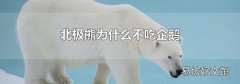 北极熊为什么不吃企鹅