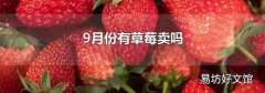 9月份有草莓卖吗