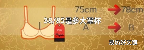 38/85是多大罩杯
