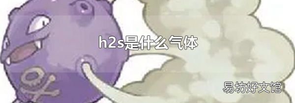 h2s是什么气体