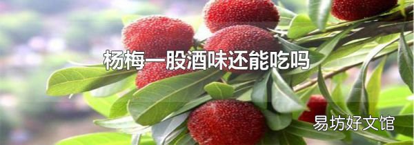 杨梅一股酒味还能吃吗