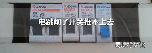 电跳闸了开关推不上去
