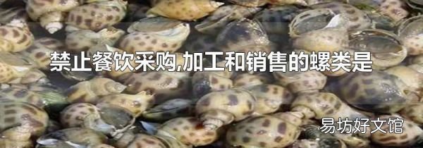 禁止餐饮采购,加工和销售的螺类是