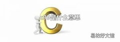 c99是什么意思
