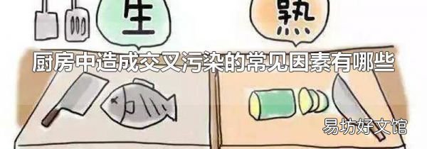 厨房中造成交叉污染的常见因素有哪些