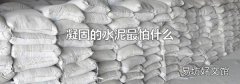 凝固的水泥最怕什么