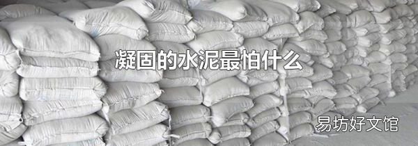 凝固的水泥最怕什么