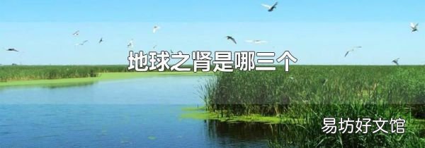 地球之肾是哪三个