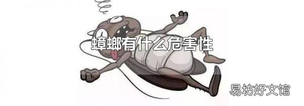 蟑螂有什么危害性