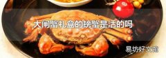 大闸蟹礼盒的螃蟹是活的吗
