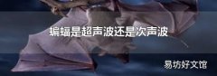 蝙蝠是超声波还是次声波