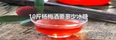 10斤杨梅酒要多少冰糖