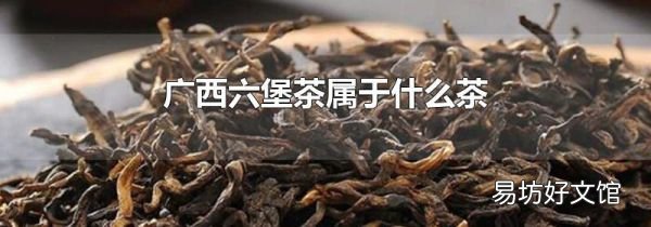 广西六堡茶属于什么茶