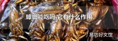 蟑螂能吃吗,它有什么作用
