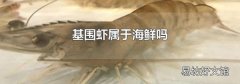 基围虾属于海鲜吗